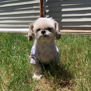 Meet your Posher, Madeline